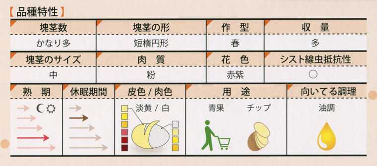 チェルシー　品質特性