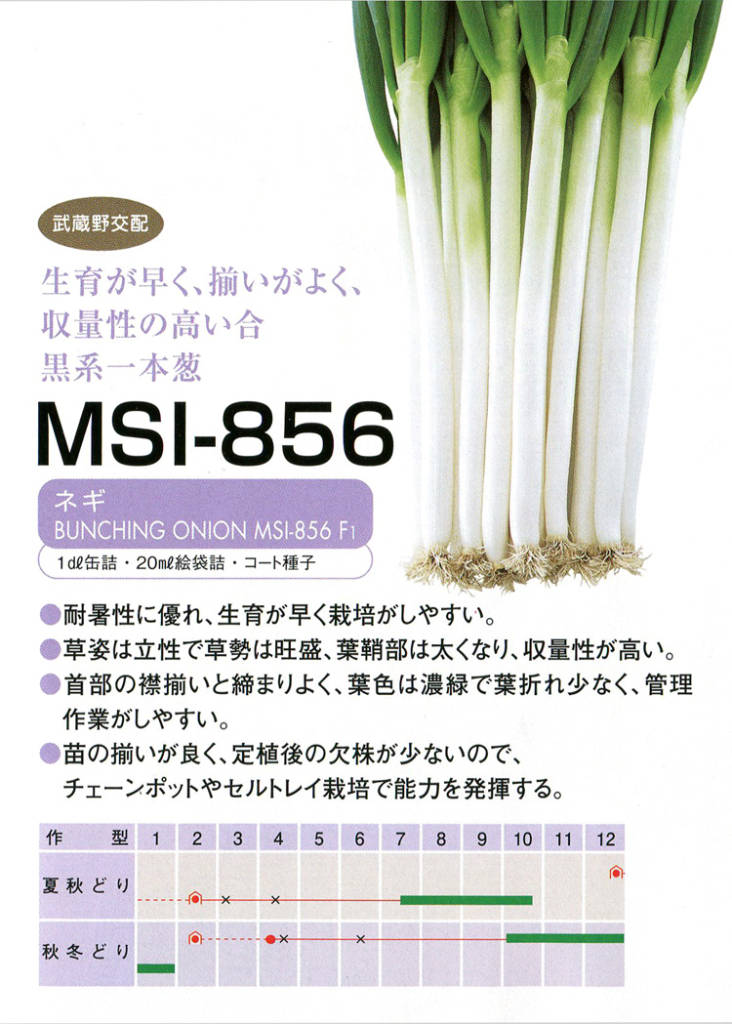 MSI-856