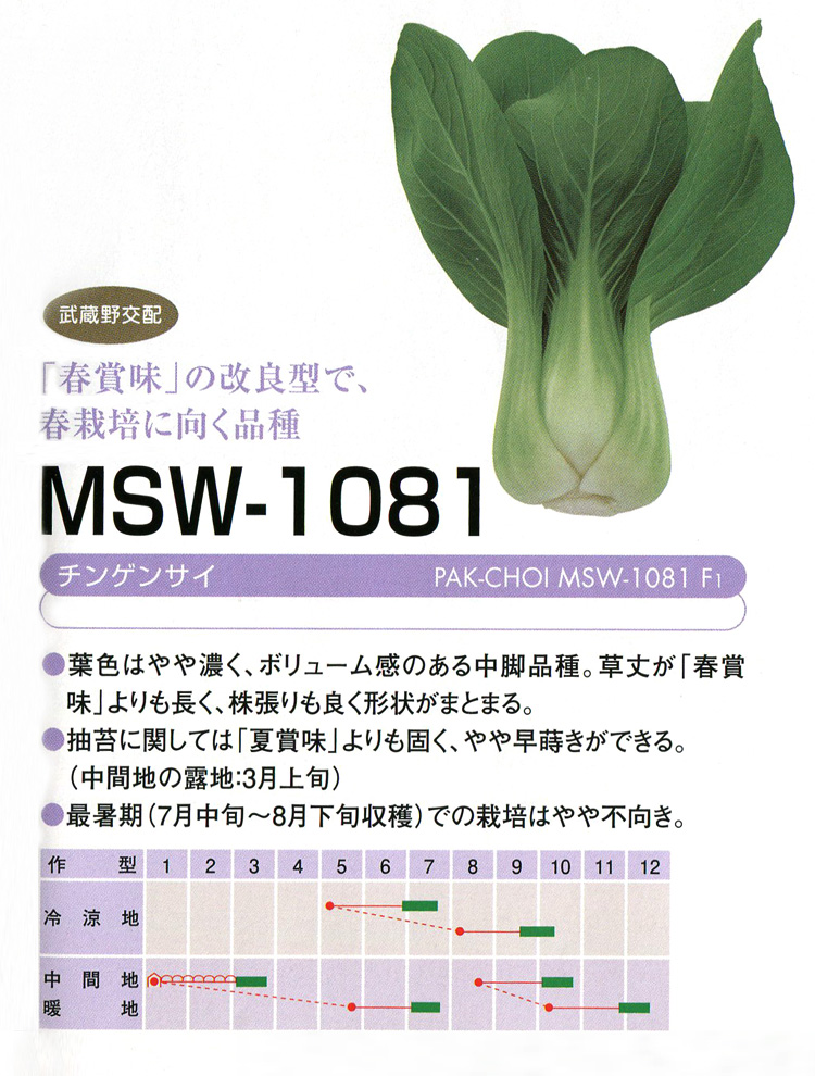 MSW-1081