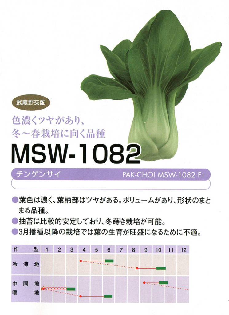 MSW-1082