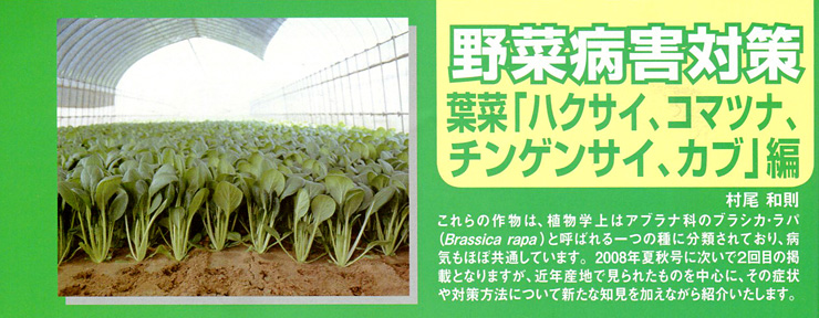 野菜病害対策　葉菜「ハクサイ、コマツナ、チンゲンサイ、カブ」編