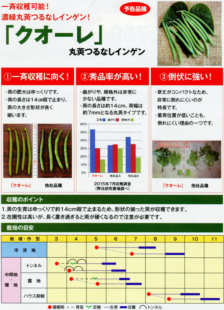 クオーレ