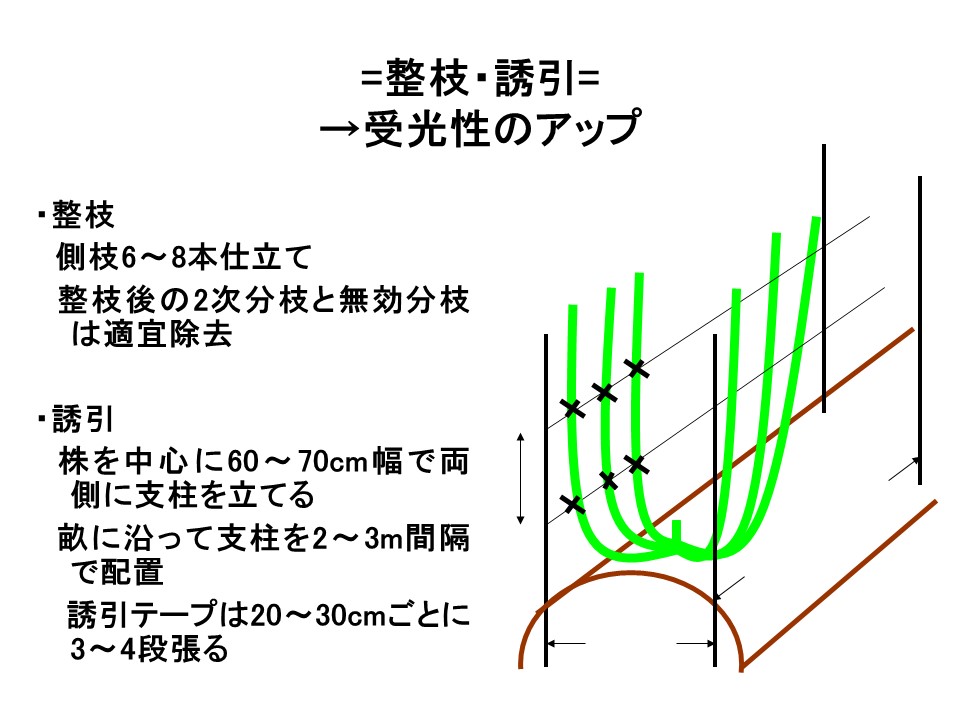 スライド25