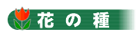 �Ԃ̎�