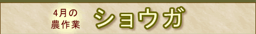 ���傤��