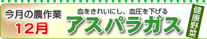 �A�X�p���K�X