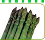 �A�X�p���K�X