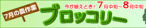 �u���b�R���[