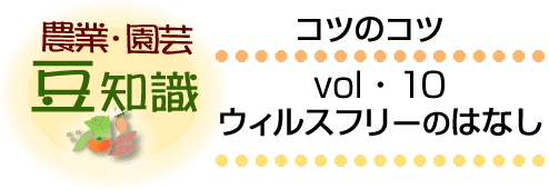 �t�̓������������