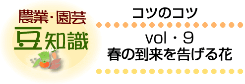 �t�̓������������