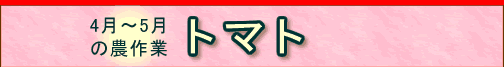 �g�}�g