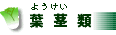�t�s��