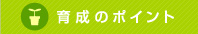 �琬�̃|�C���g