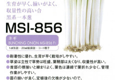 MSI-856