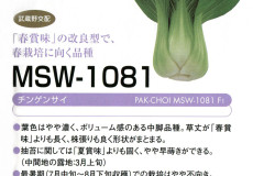 MSW-1081