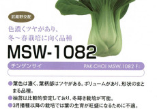 MSW-1082
