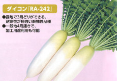 ダイコン『RA-242』