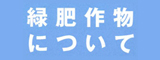 緑肥作物について