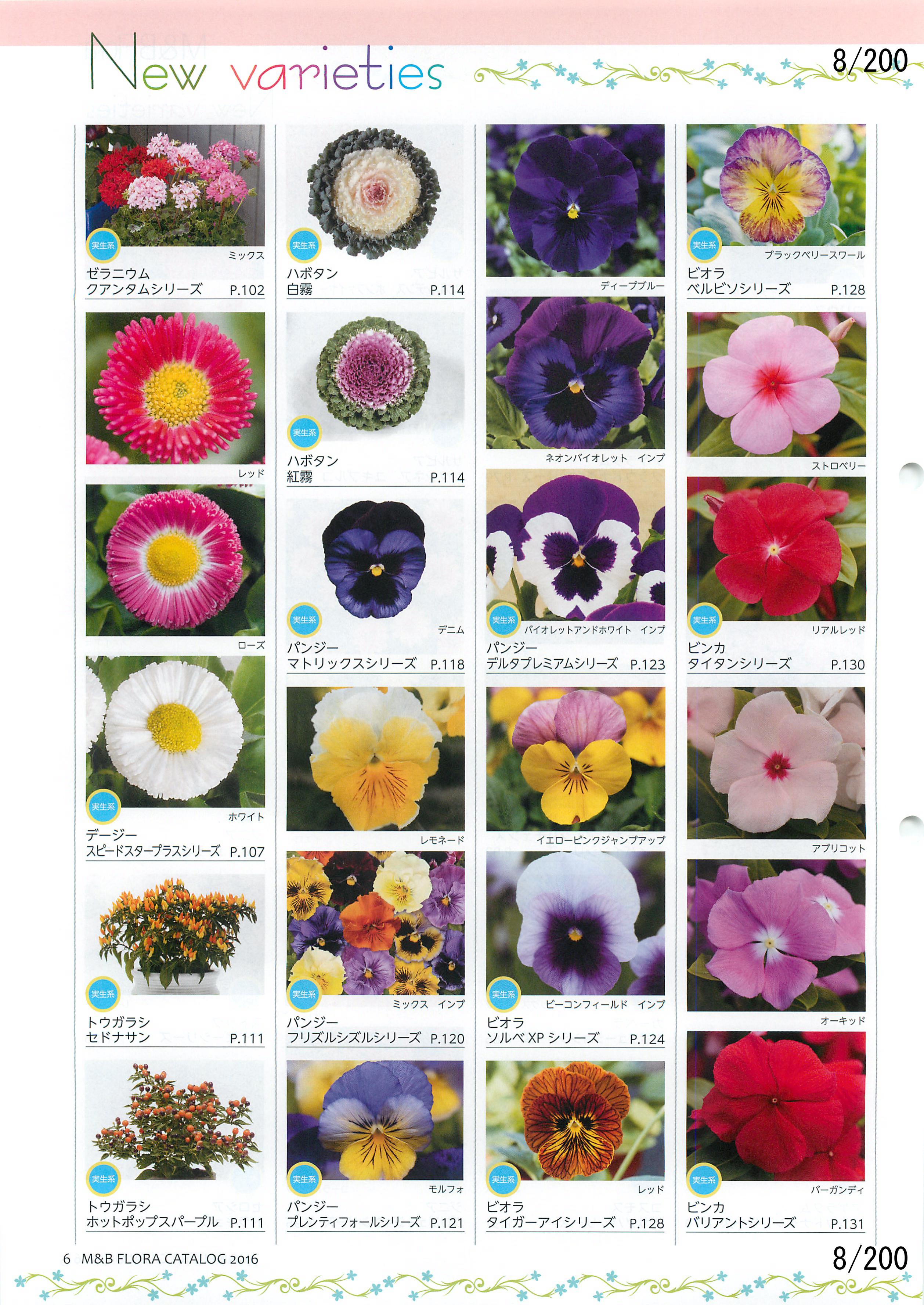 M&B Flora Vol.20F8y[W
