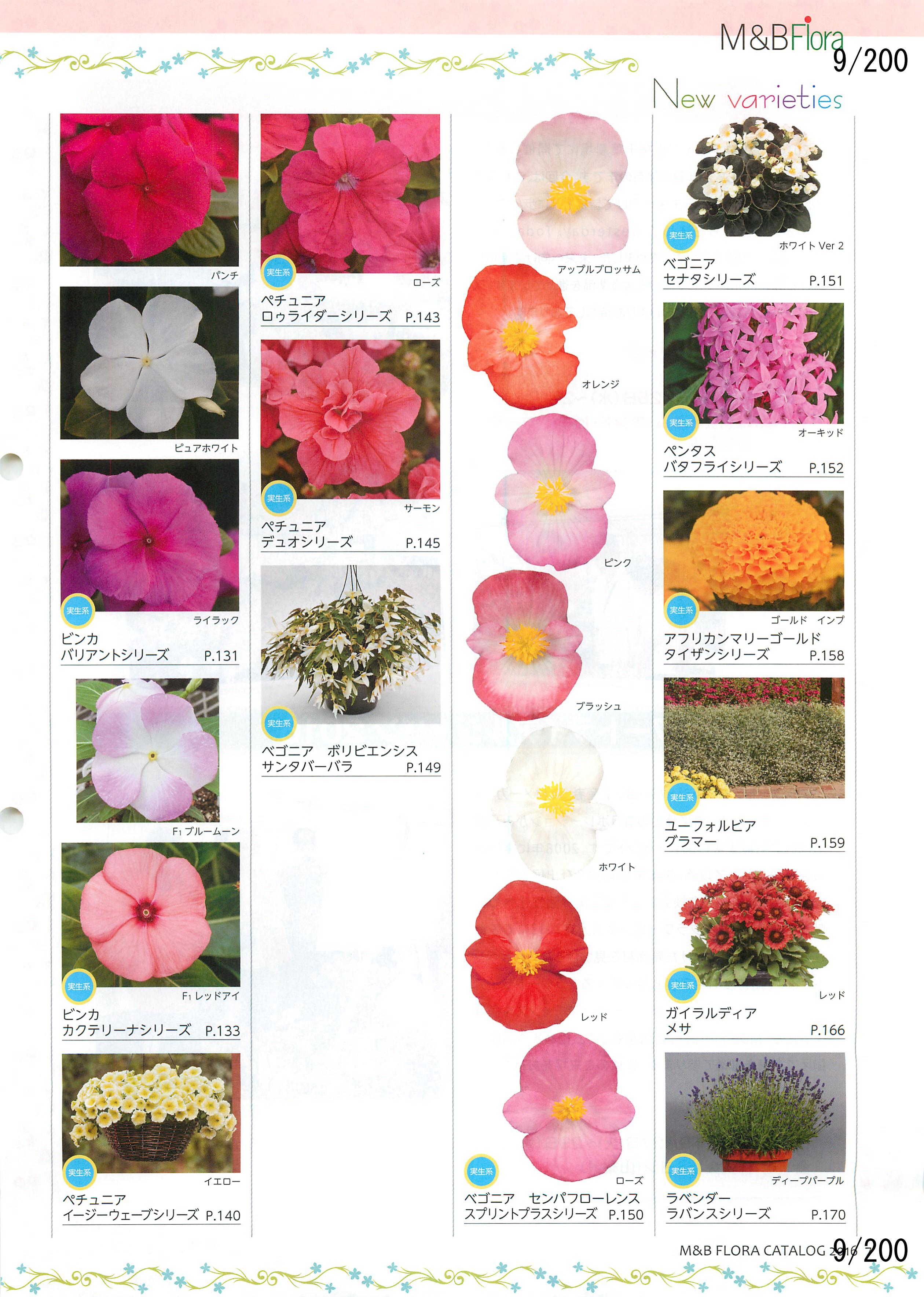 M&B Flora Vol.20F9y[W