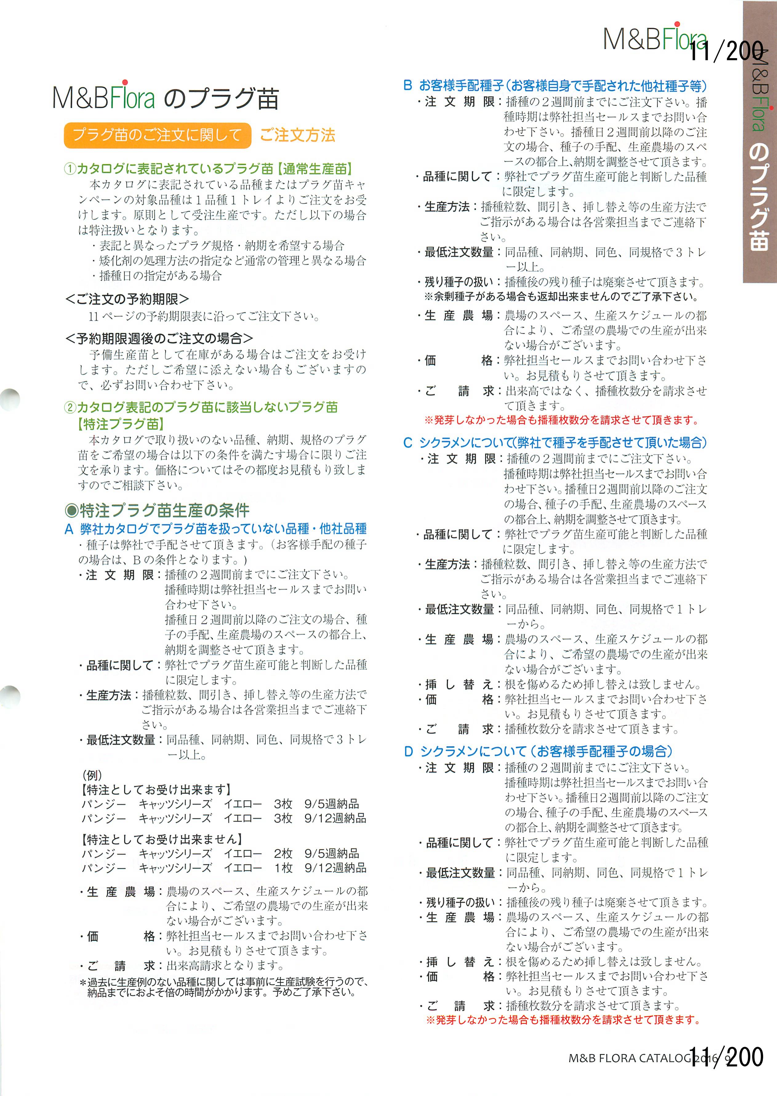 M&B Flora Vol.20F11y[W