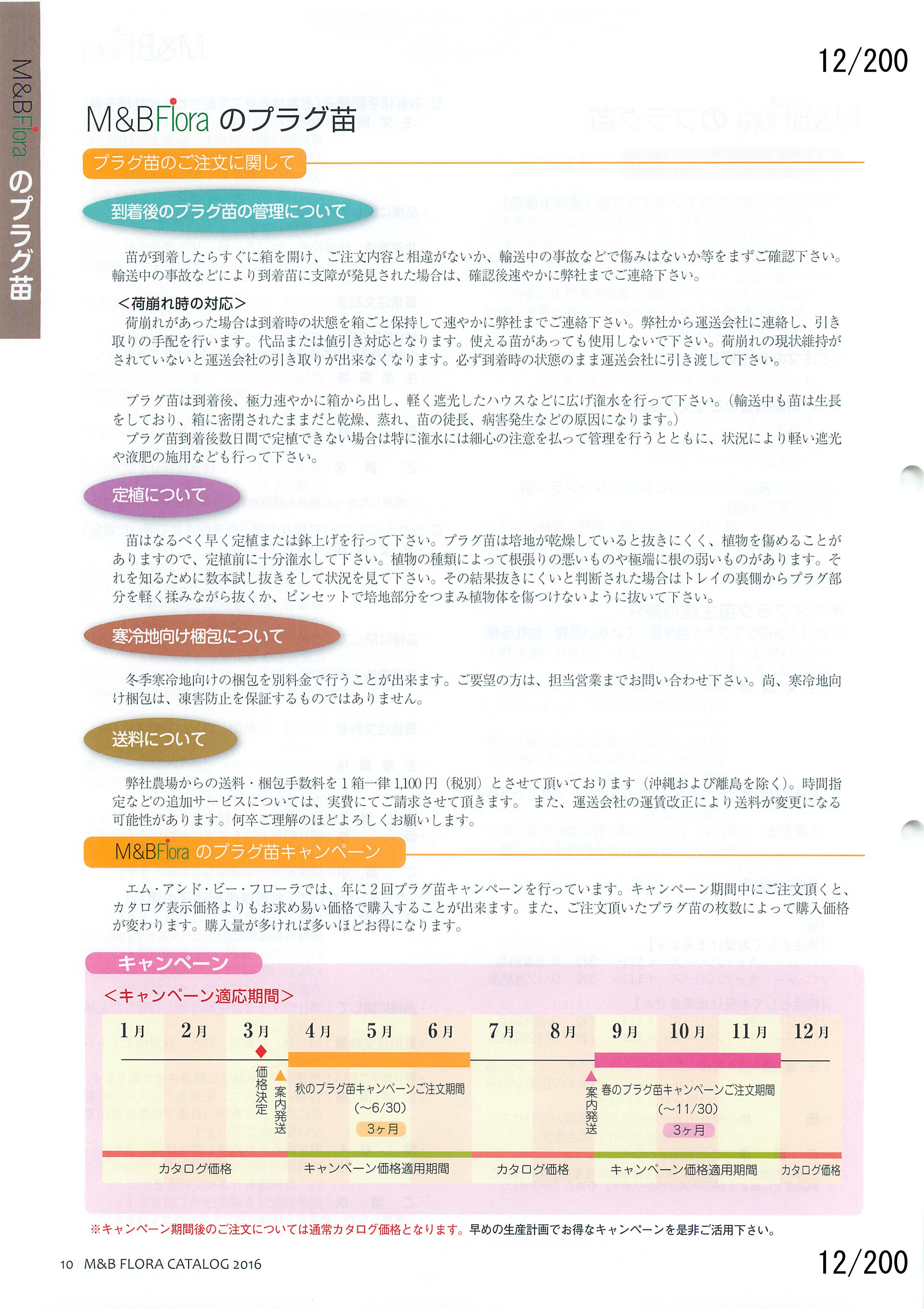 M&B Flora Vol.20F12y[W