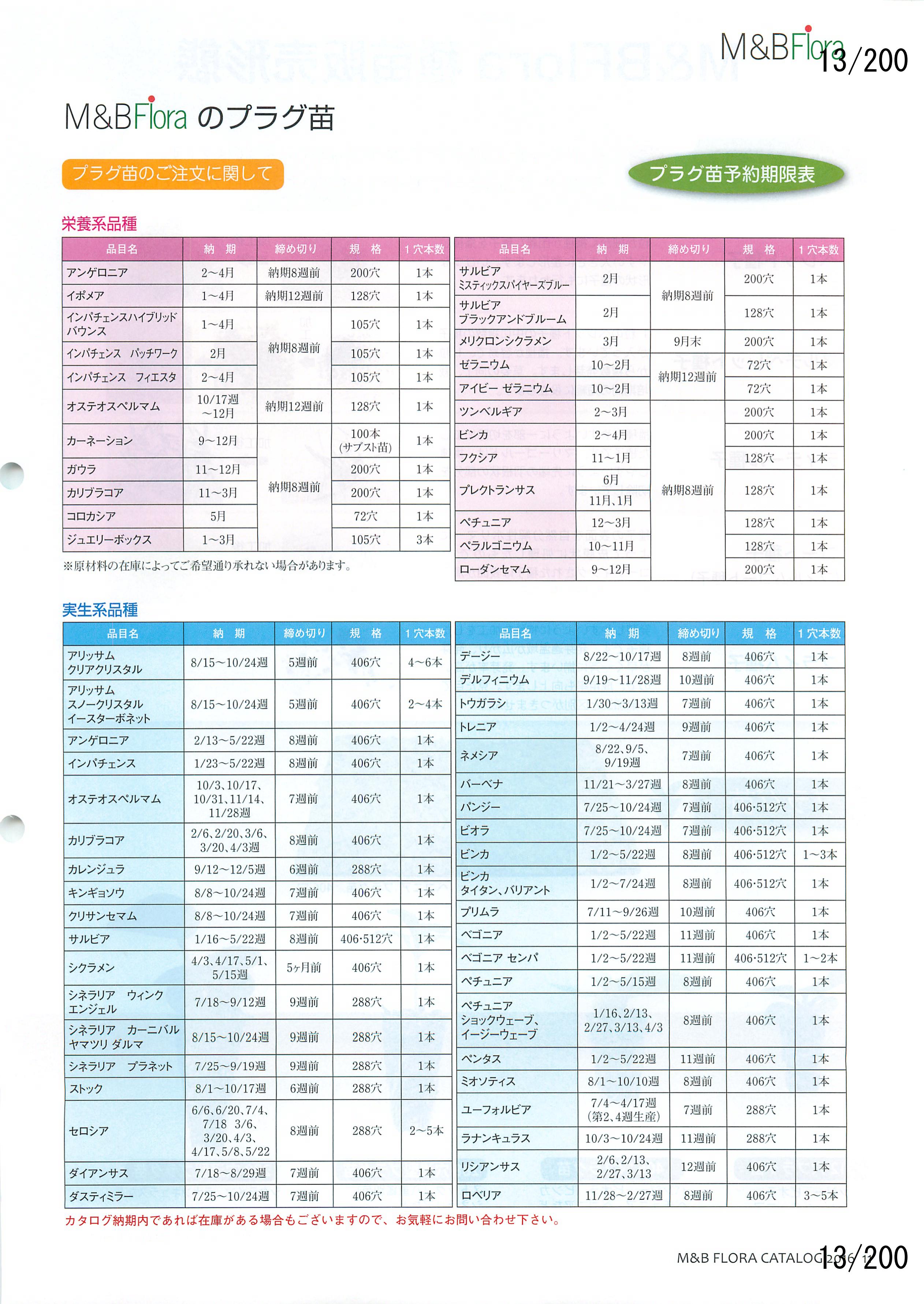M&B Flora Vol.20F13y[W