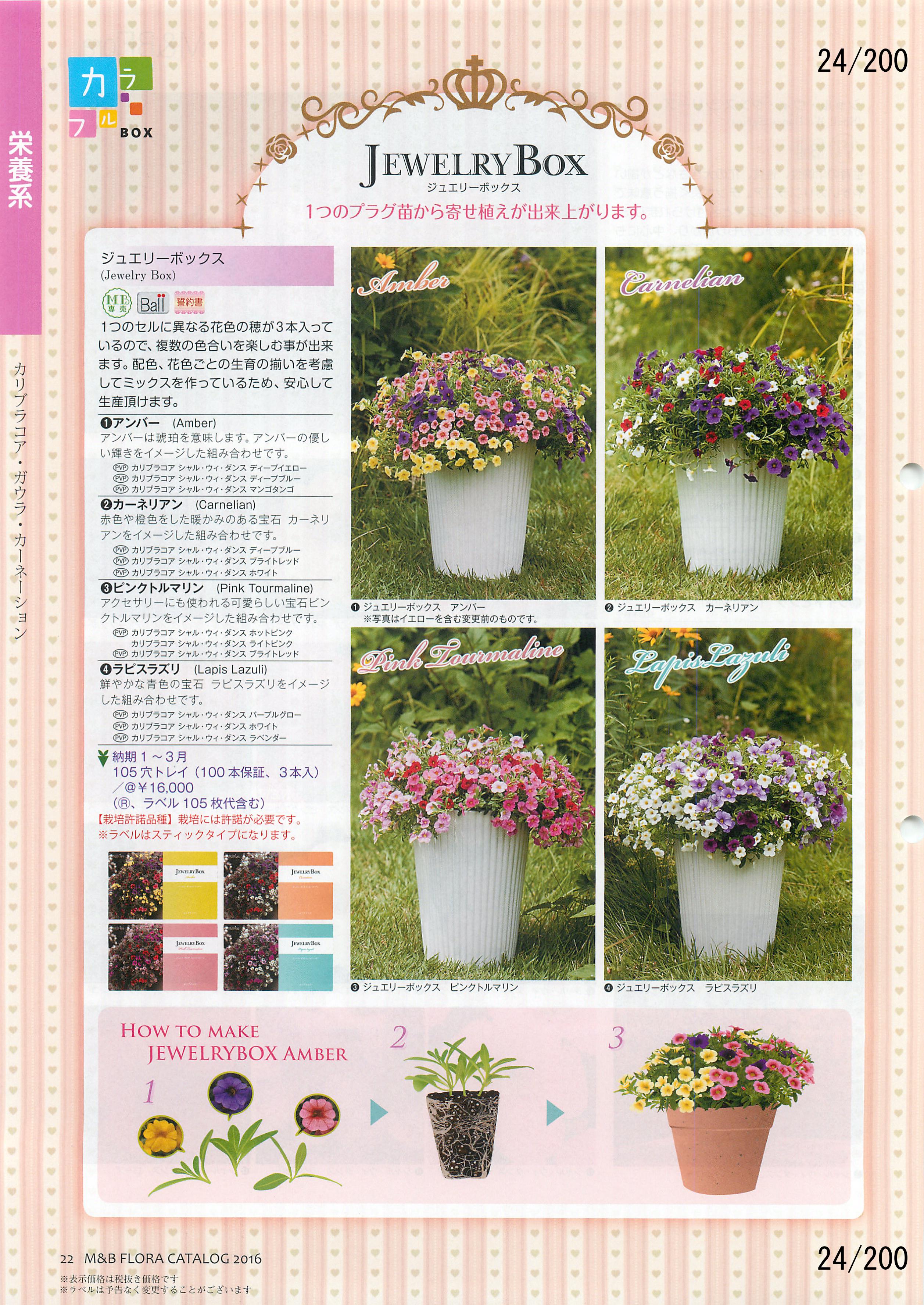 M&B Flora Vol.20F24y[W