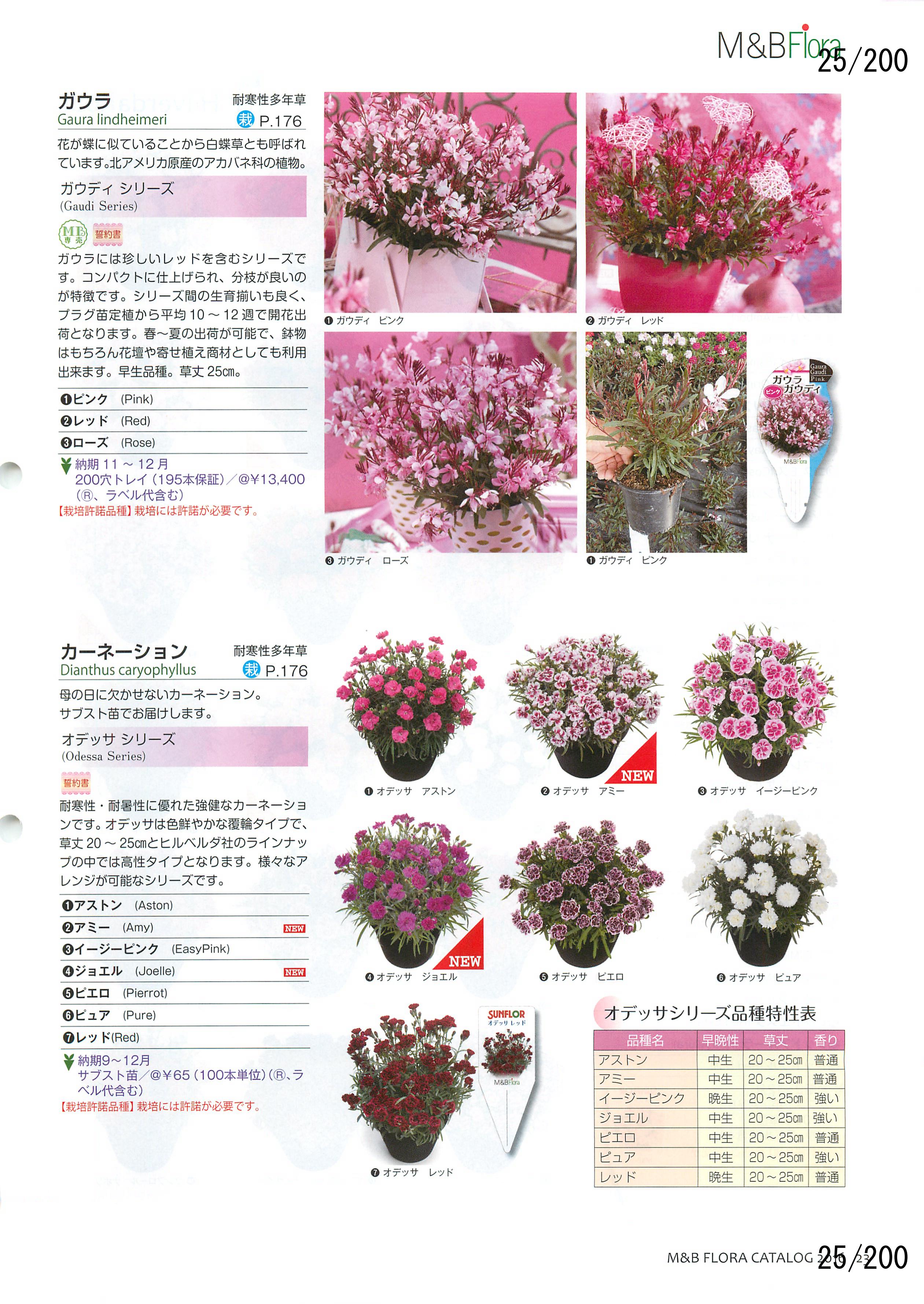 M&B Flora Vol.20F25y[W