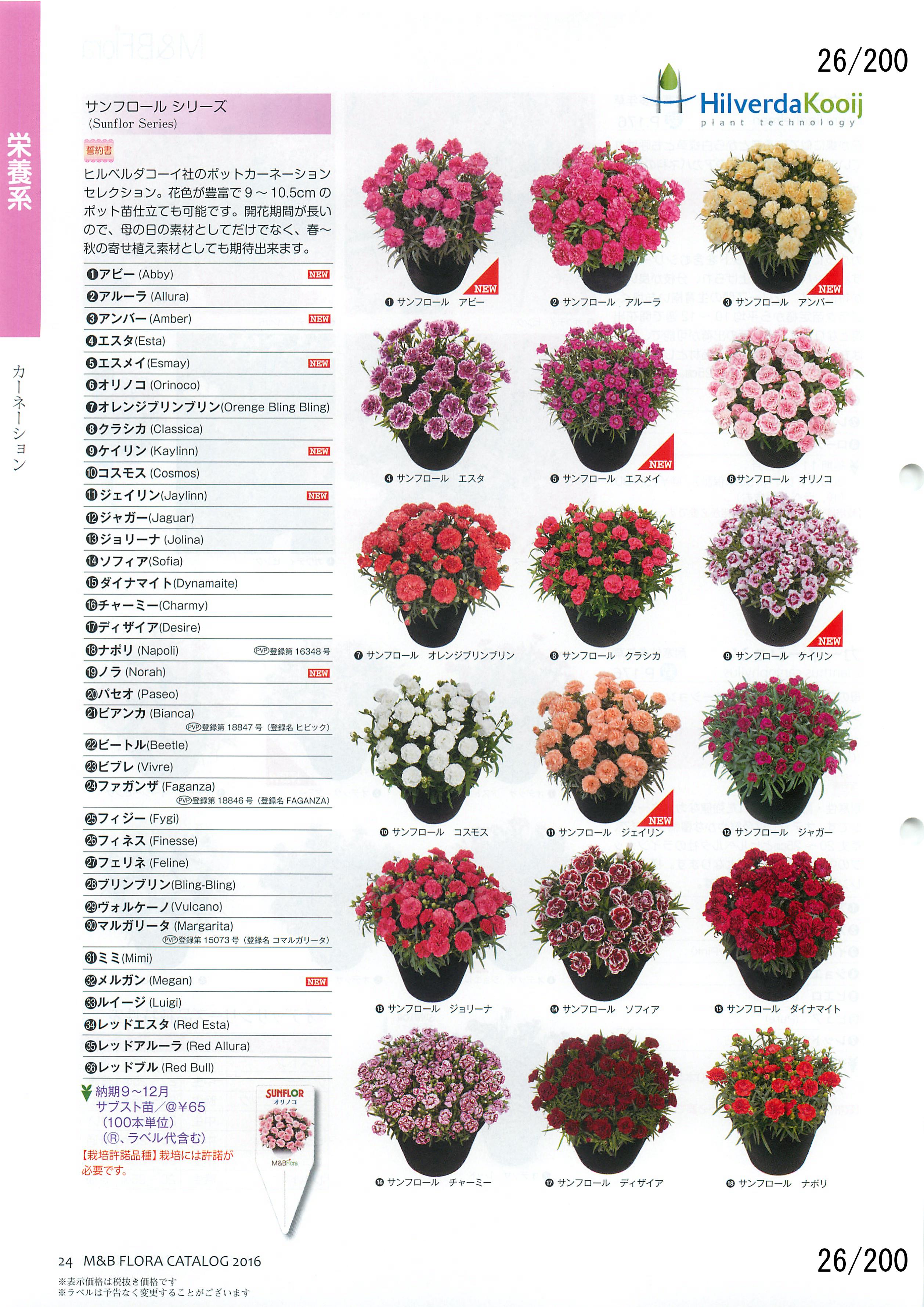M&B Flora Vol.20F26y[W