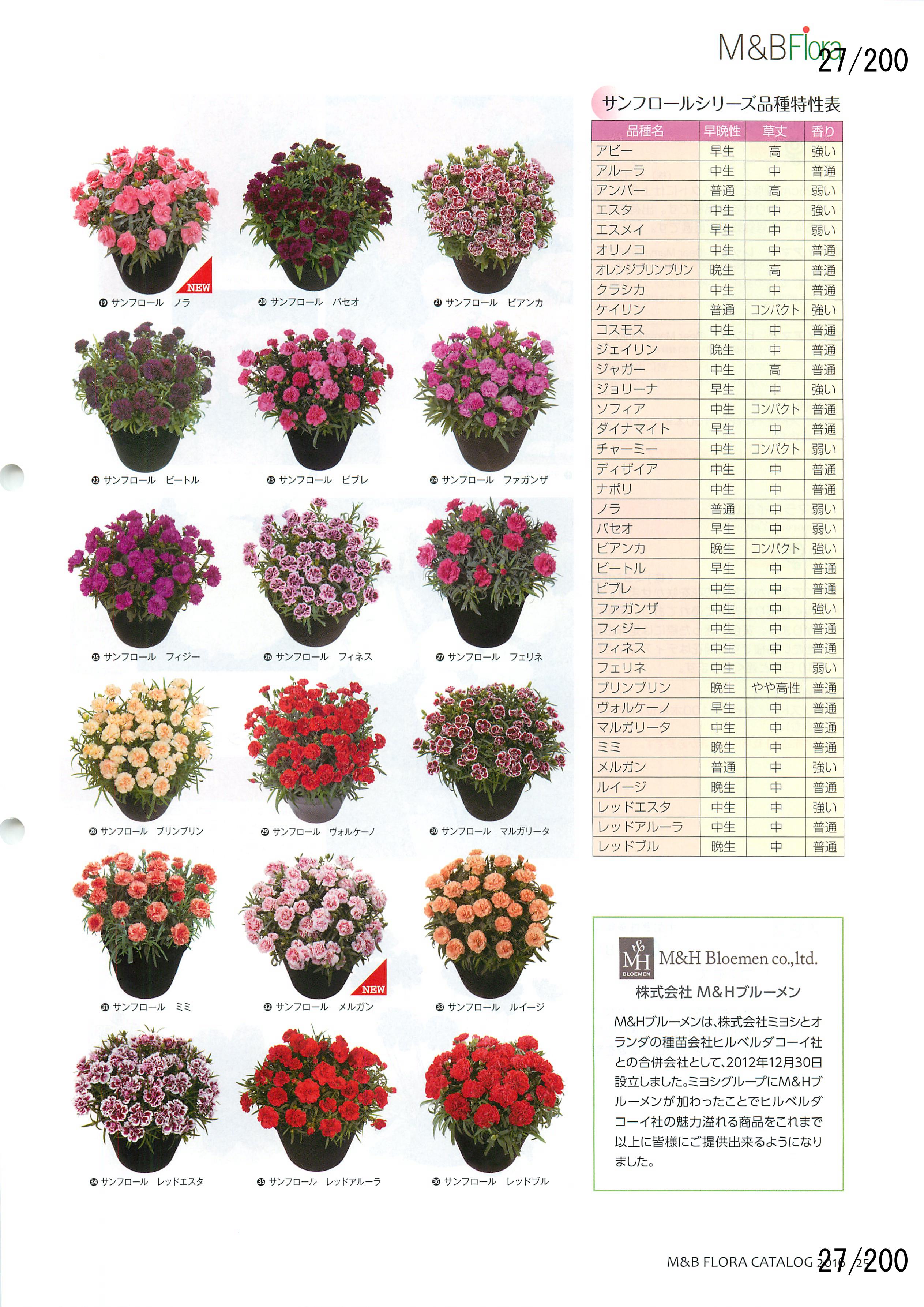 M&B Flora Vol.20F27y[W