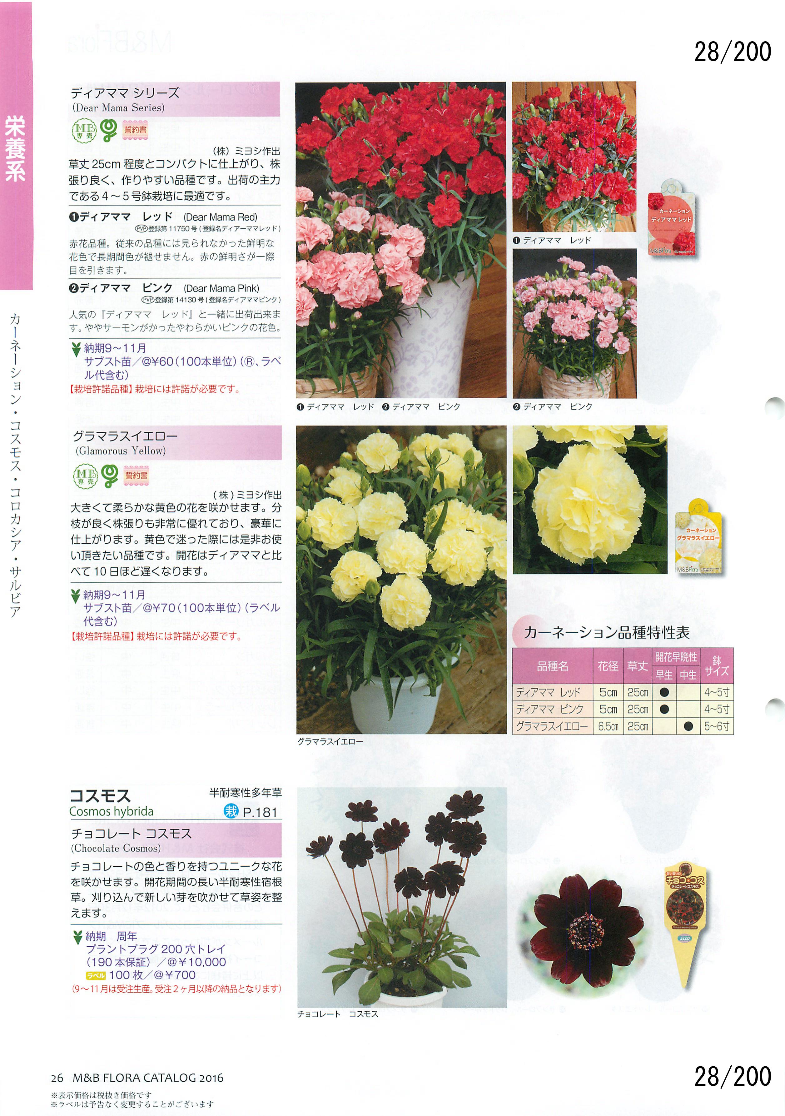 M&B Flora Vol.20F28y[W