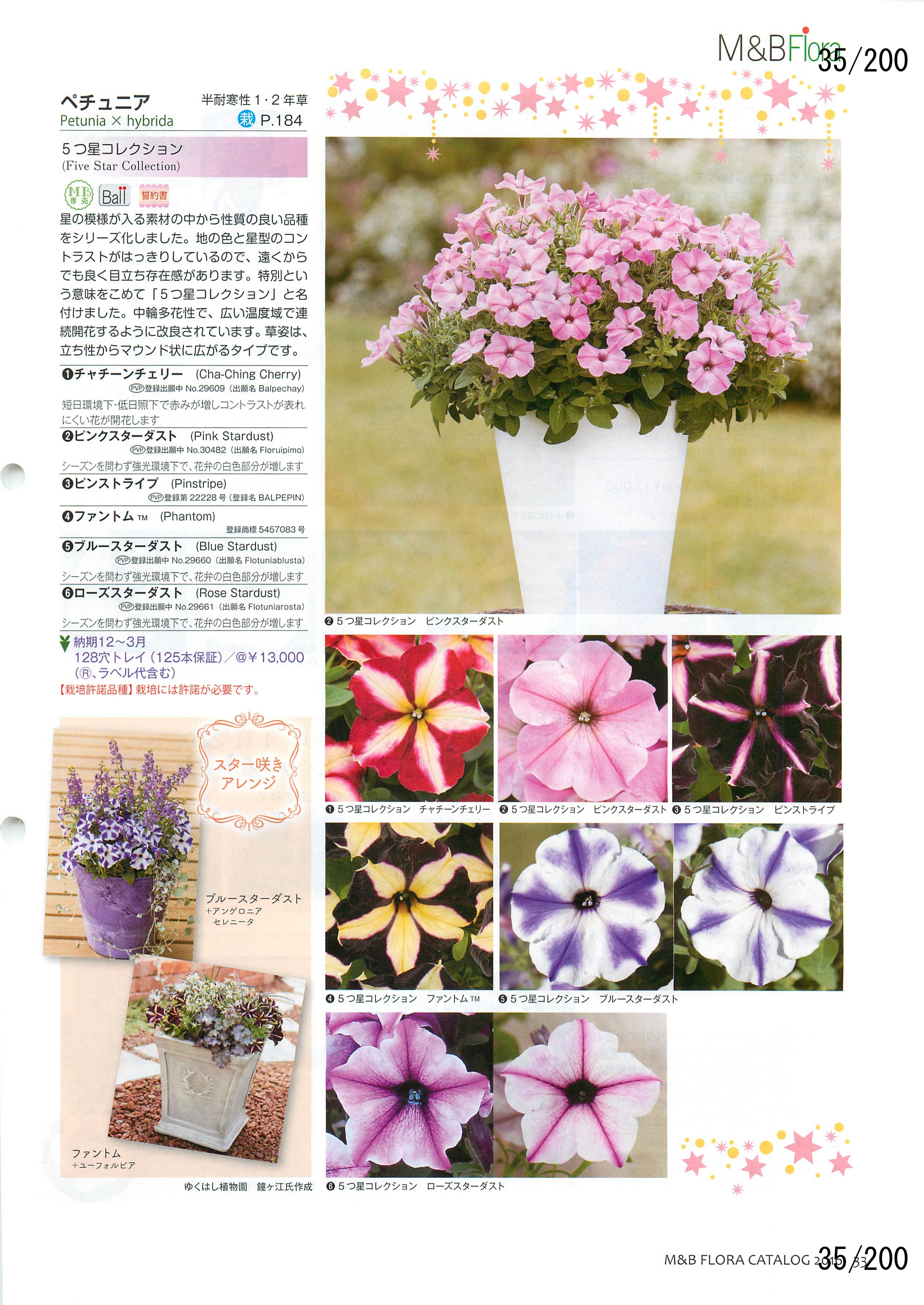 M&B Flora Vol.20F35y[W