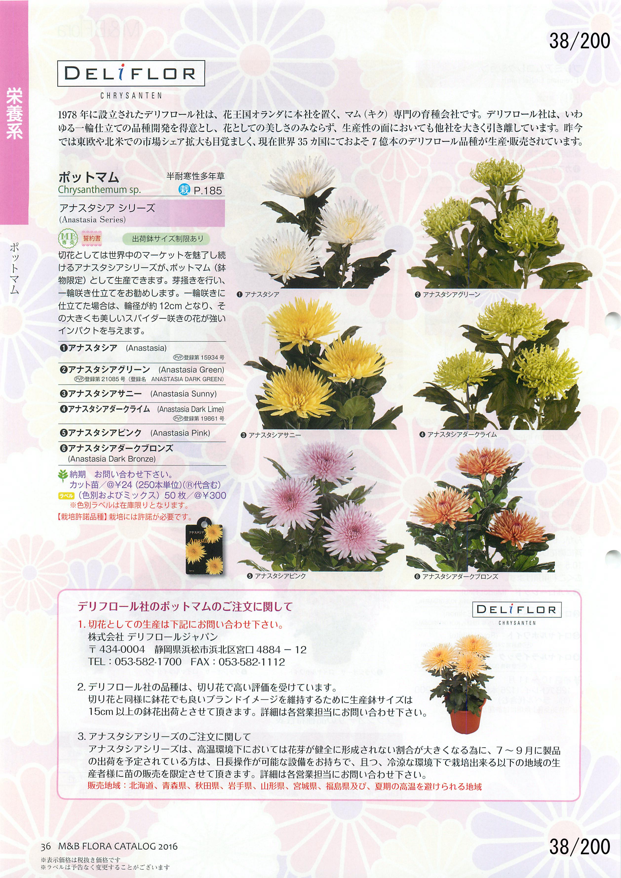 M&B Flora Vol.20F38y[W