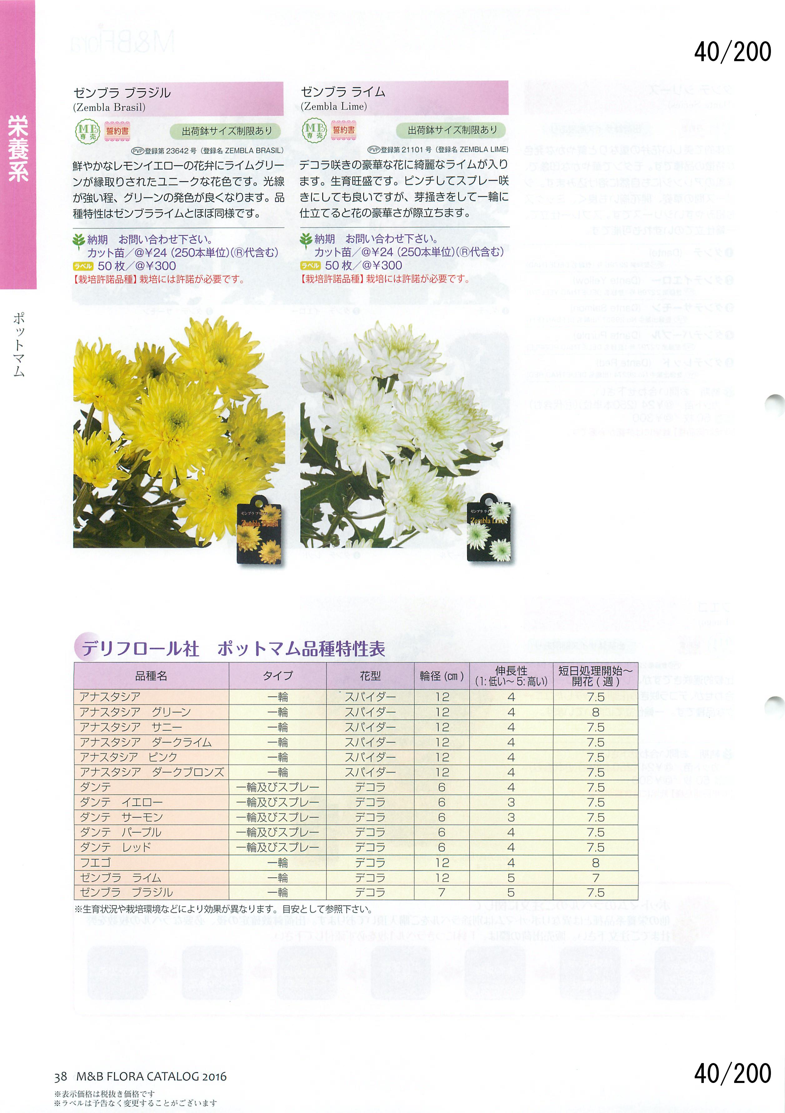 M&B Flora Vol.20F40y[W