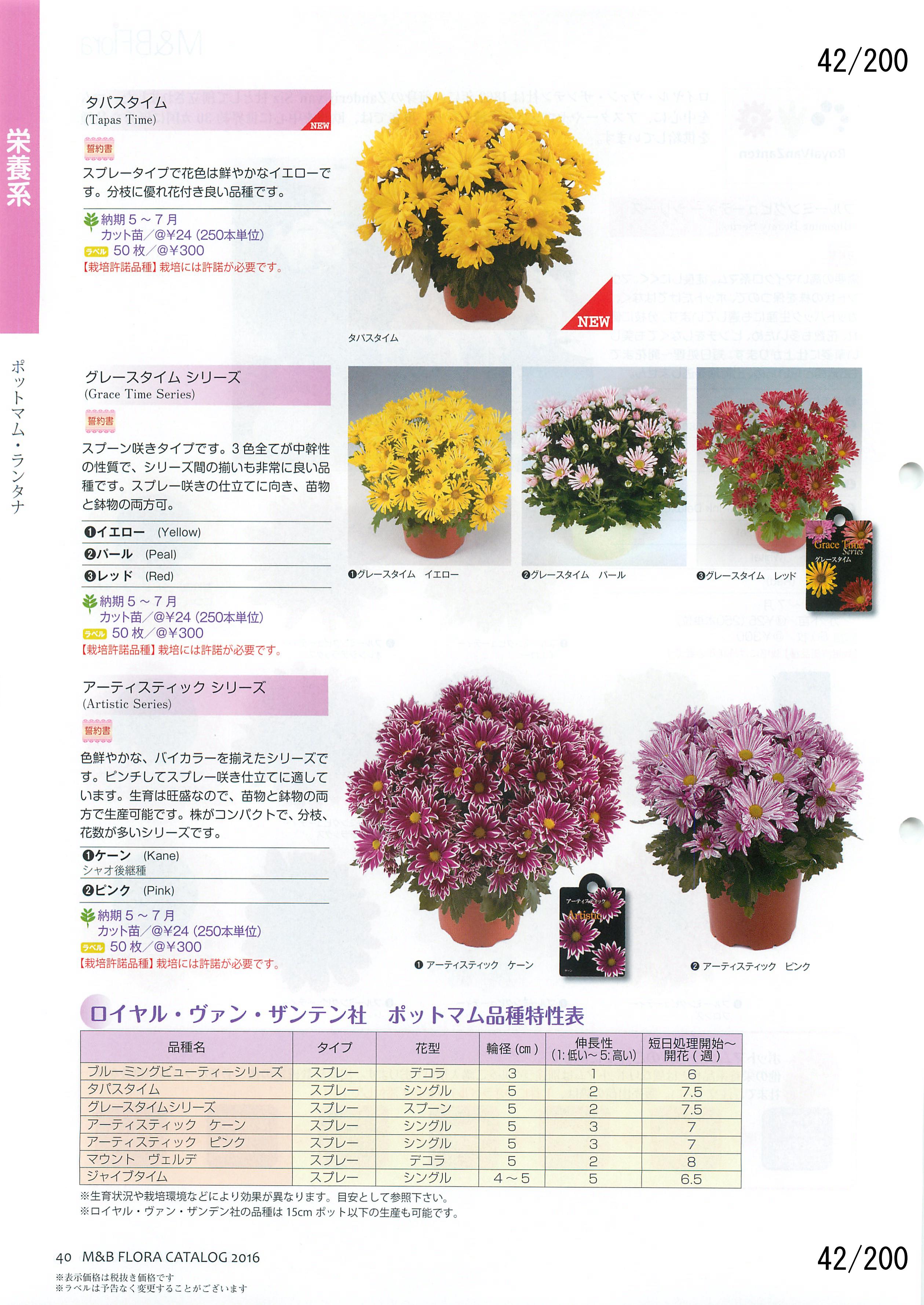 M&B Flora Vol.20F42y[W