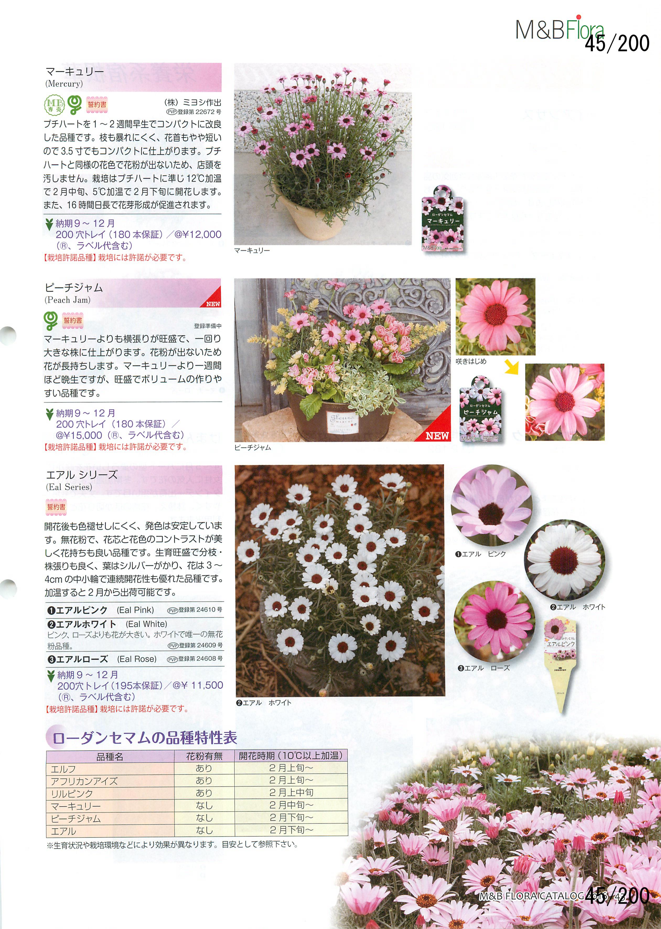 M&B Flora Vol.20F45y[W