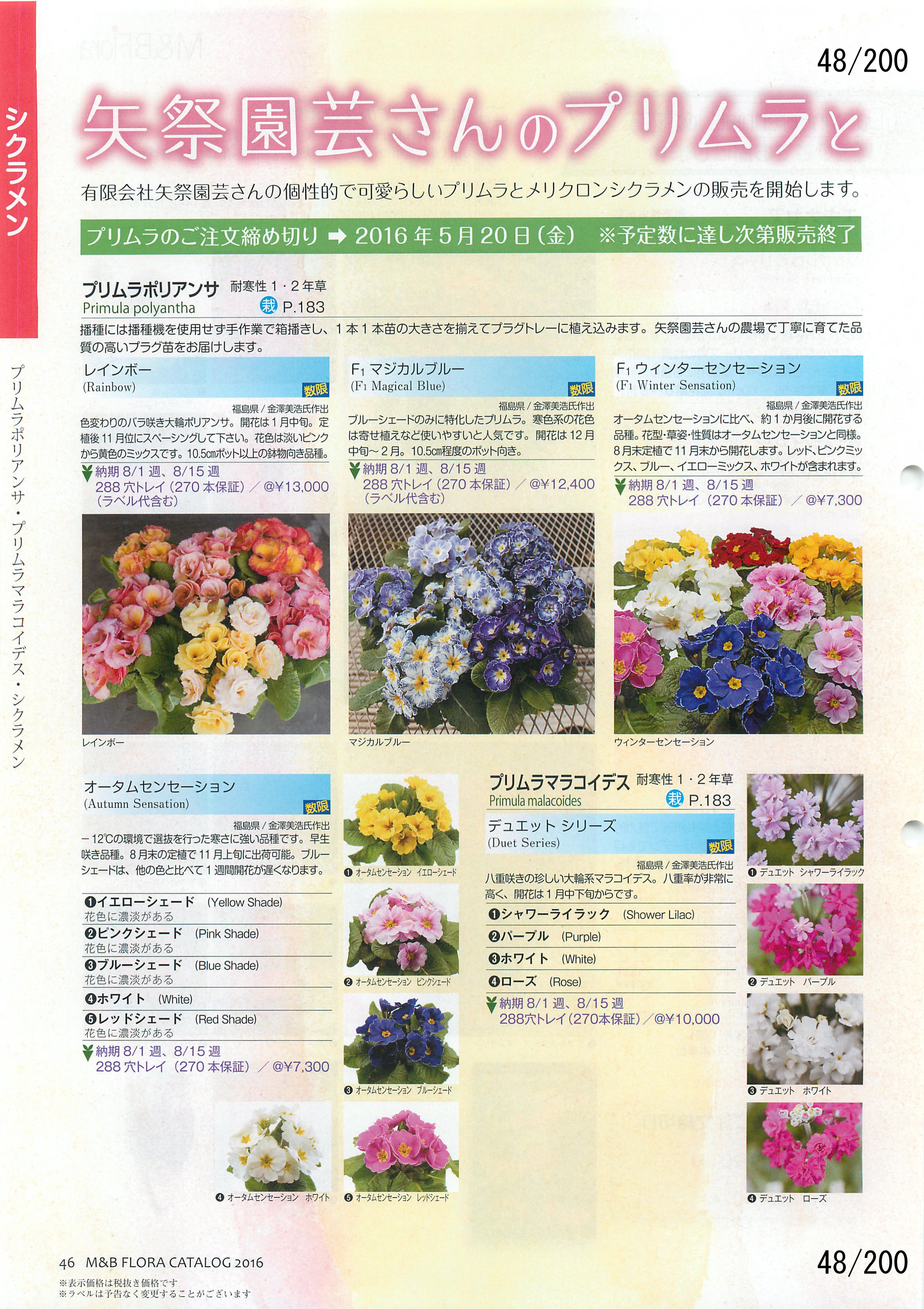 M&B Flora Vol.20F48y[W