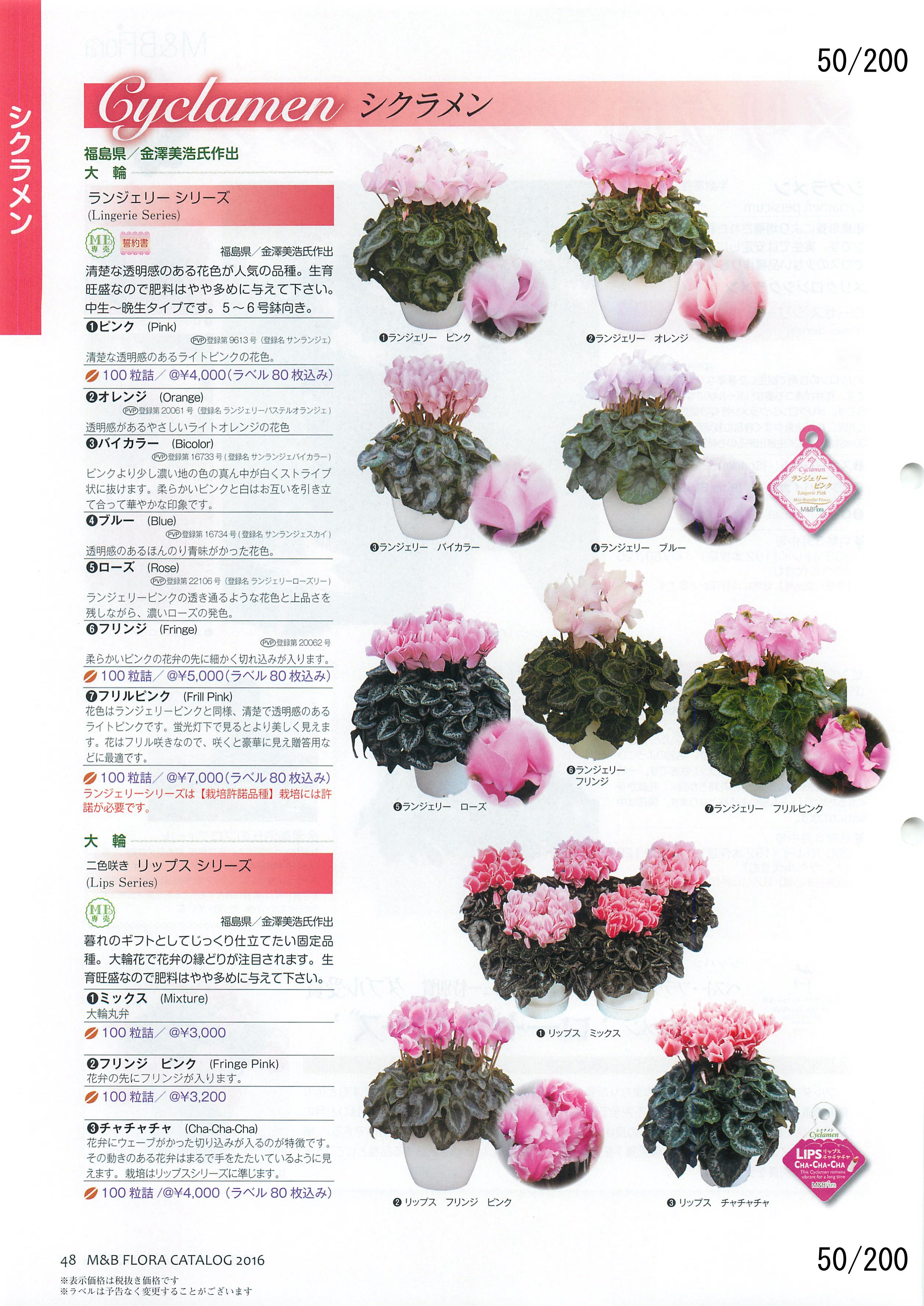M&B Flora Vol.20F50y[W