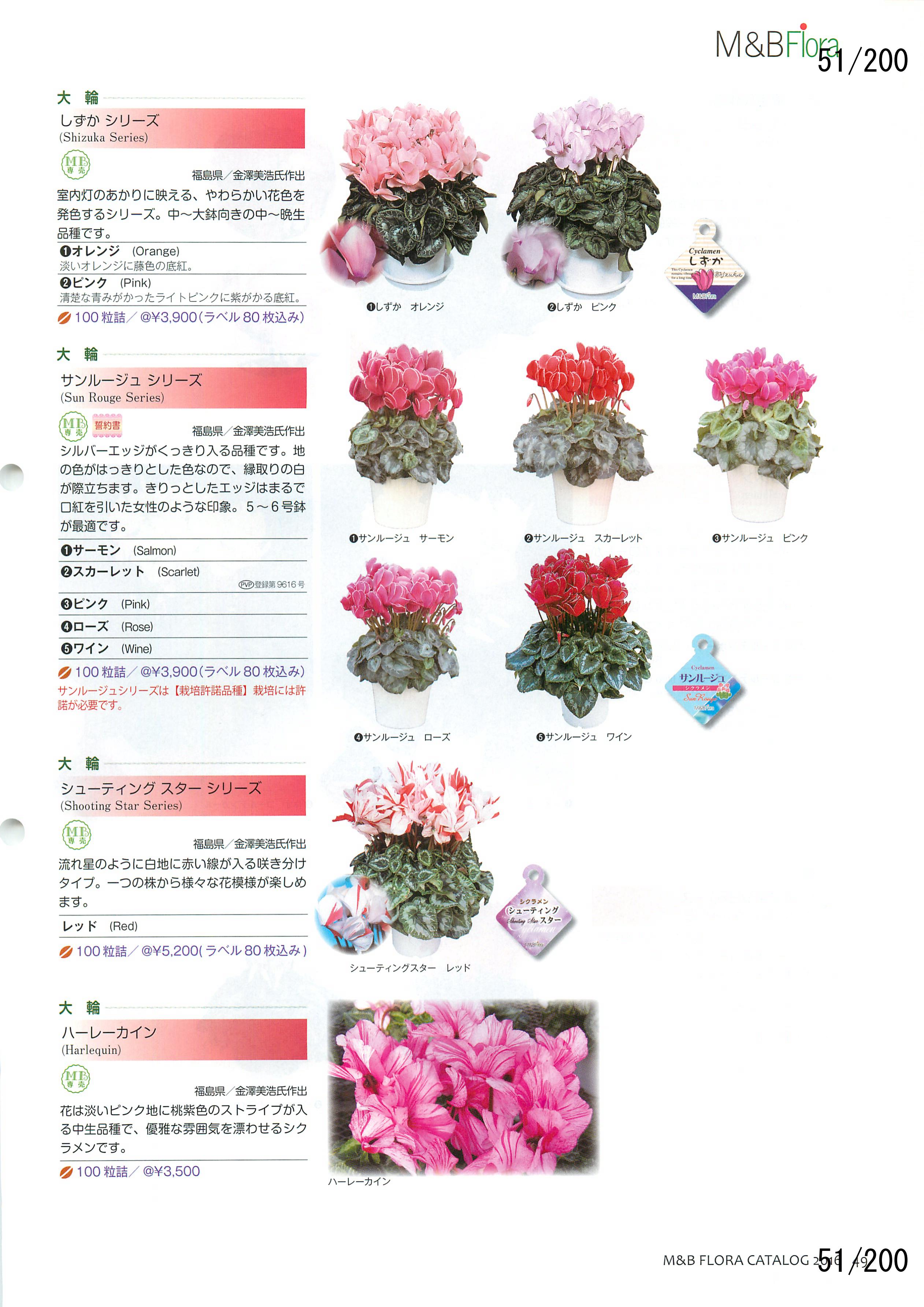 M&B Flora Vol.20F51y[W
