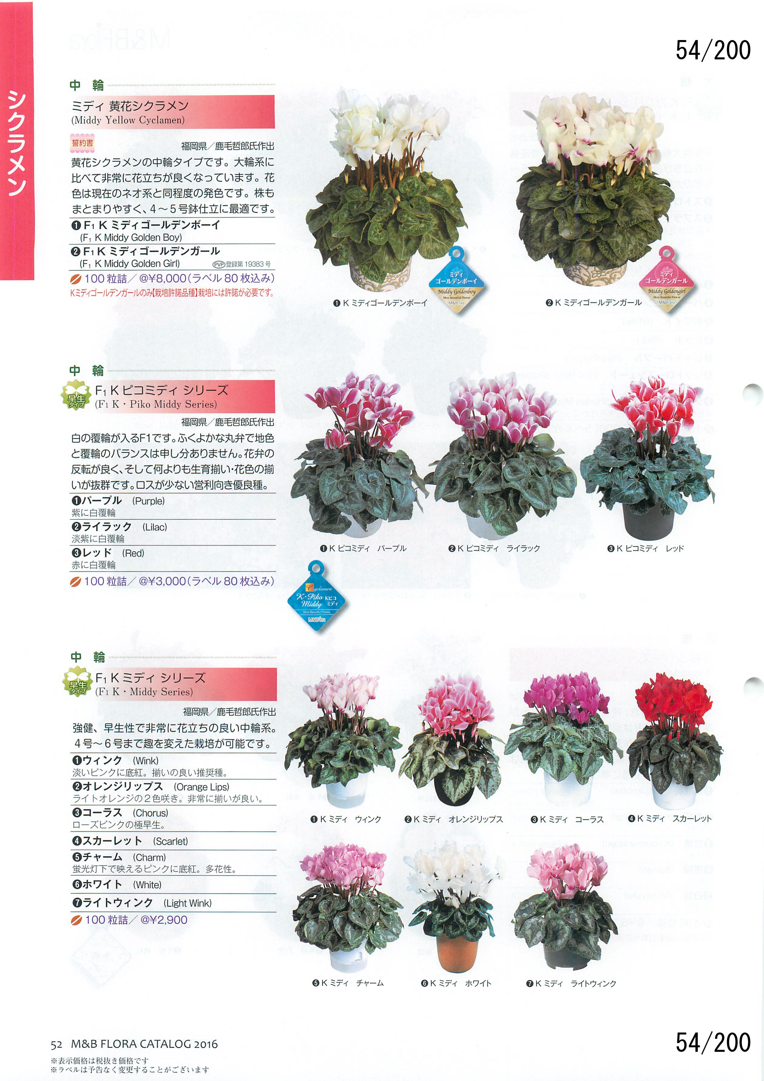 M&B Flora Vol.20F54y[W