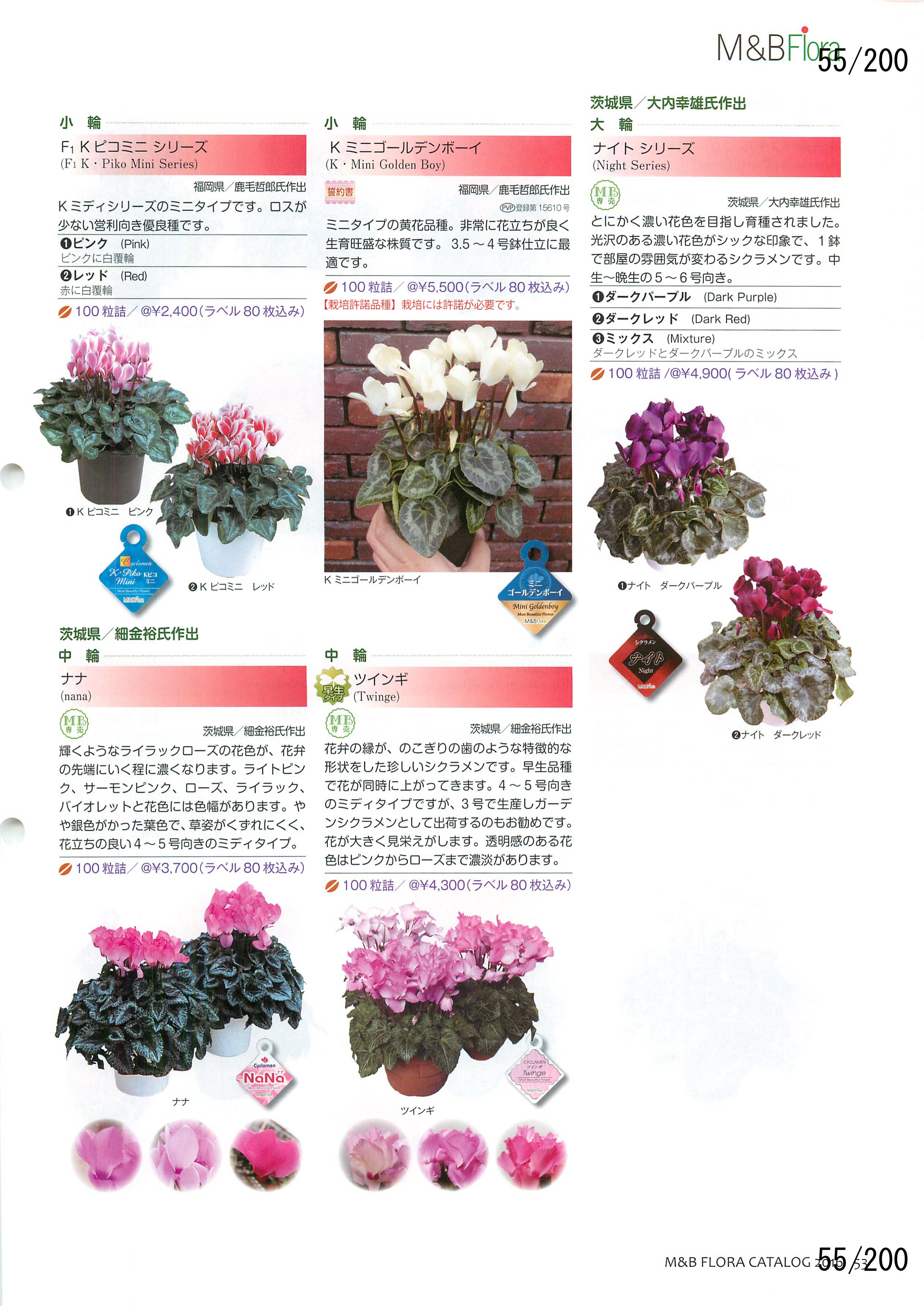 M&B Flora Vol.20F55y[W