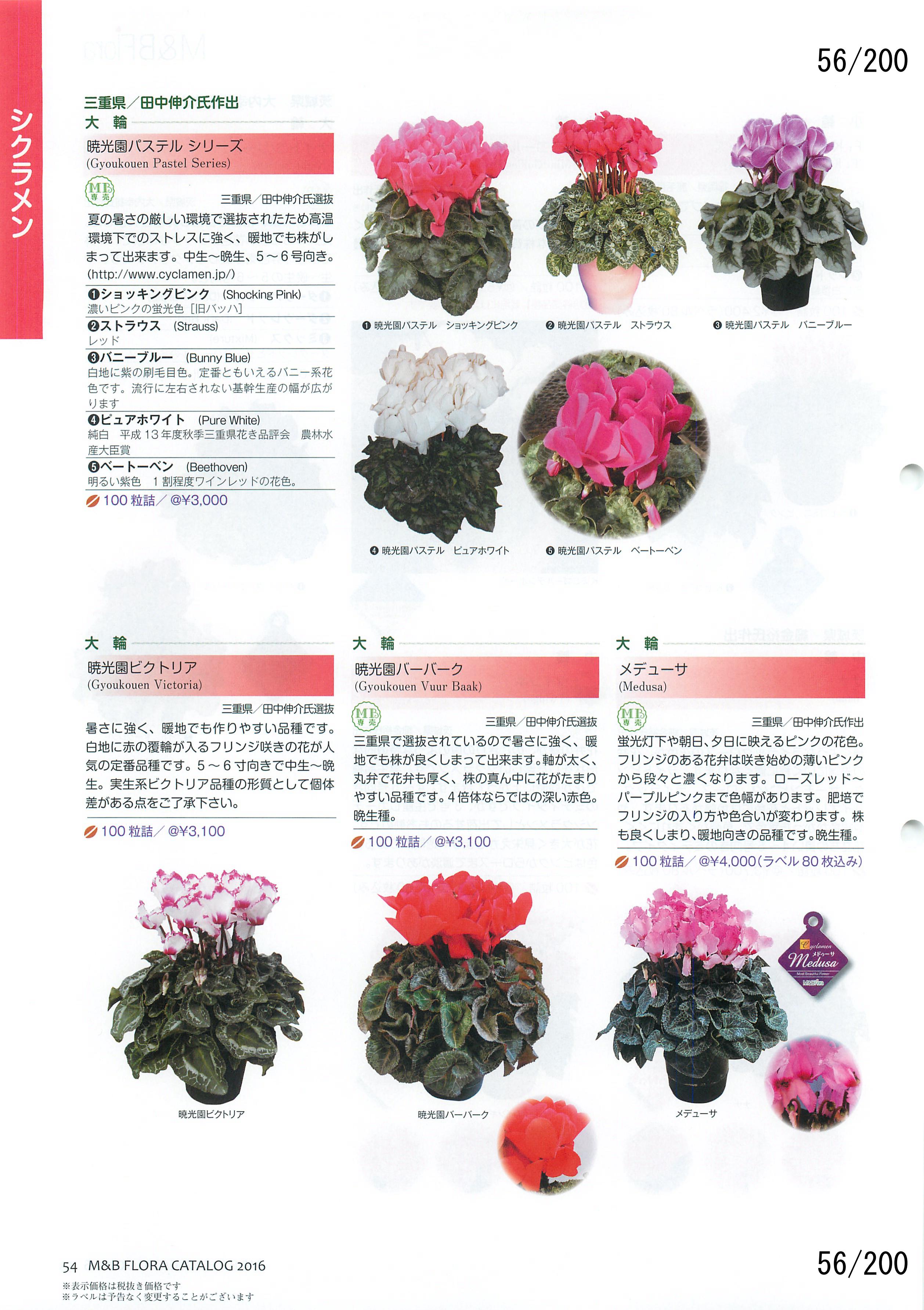 M&B Flora Vol.20F56y[W