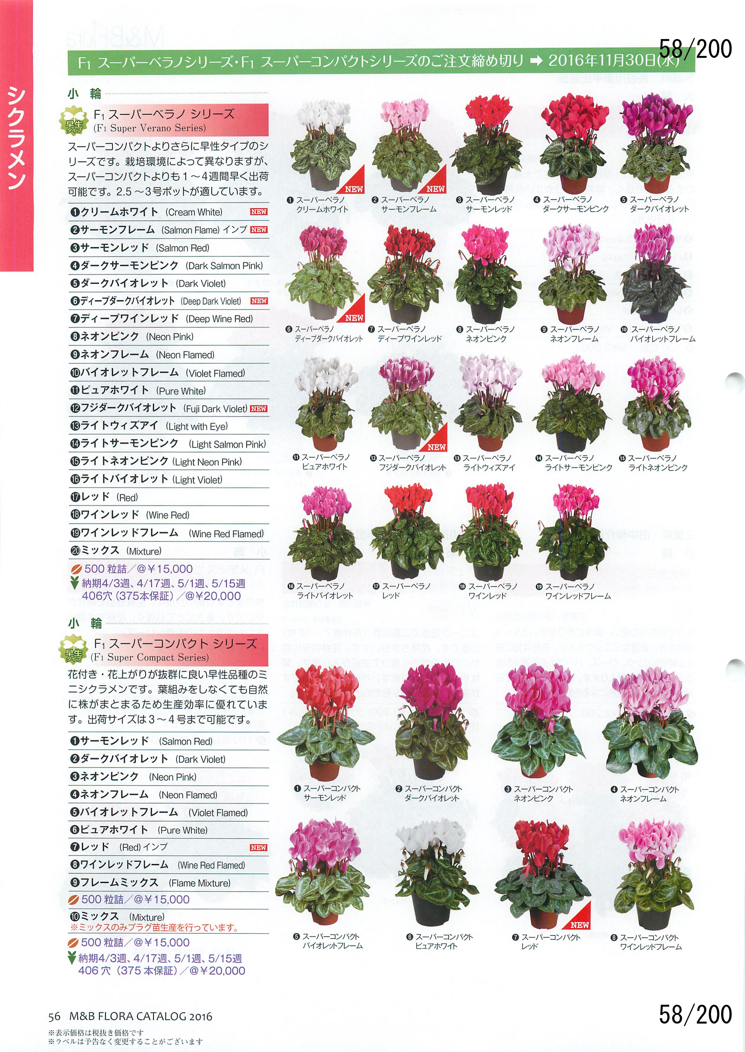M&B Flora Vol.20F58y[W