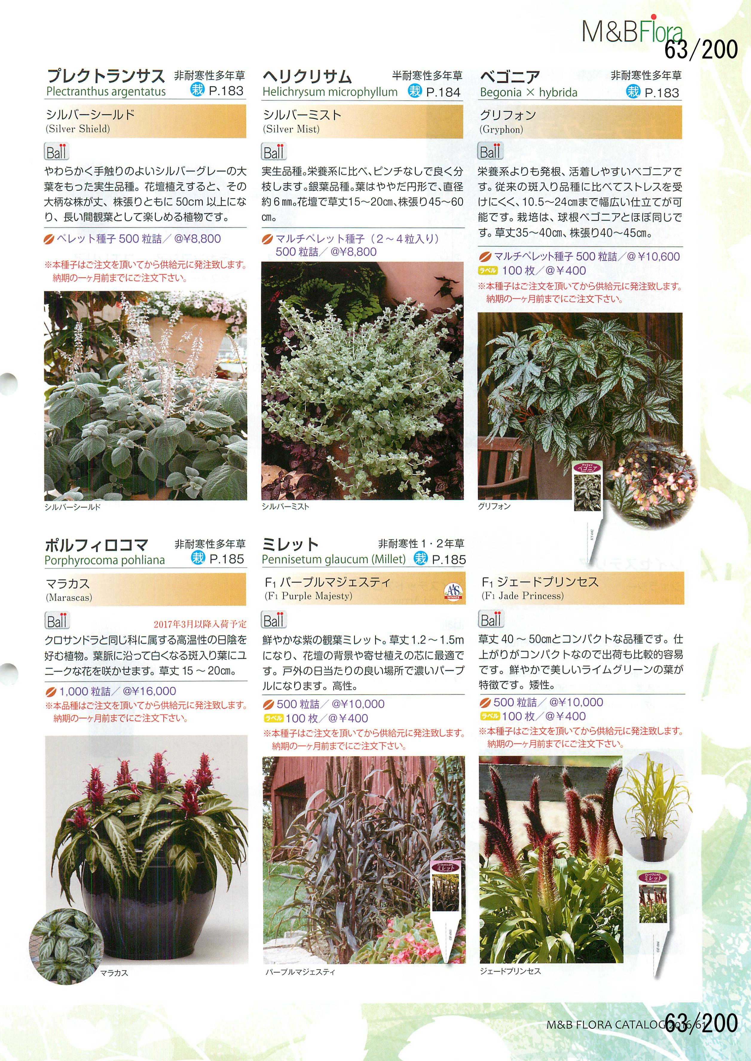 M&B Flora Vol.20F63y[W