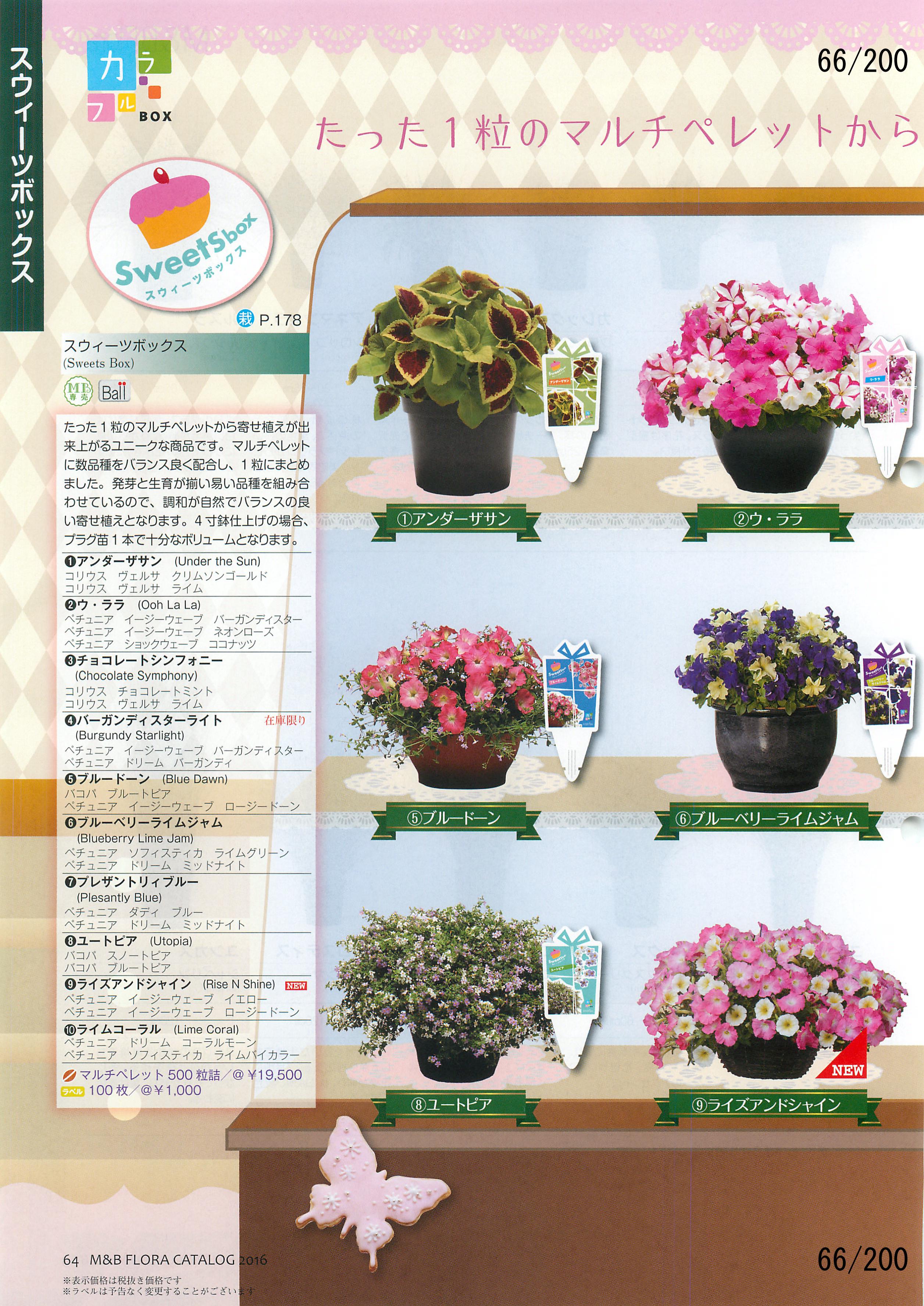 M&B Flora Vol.20F66y[W