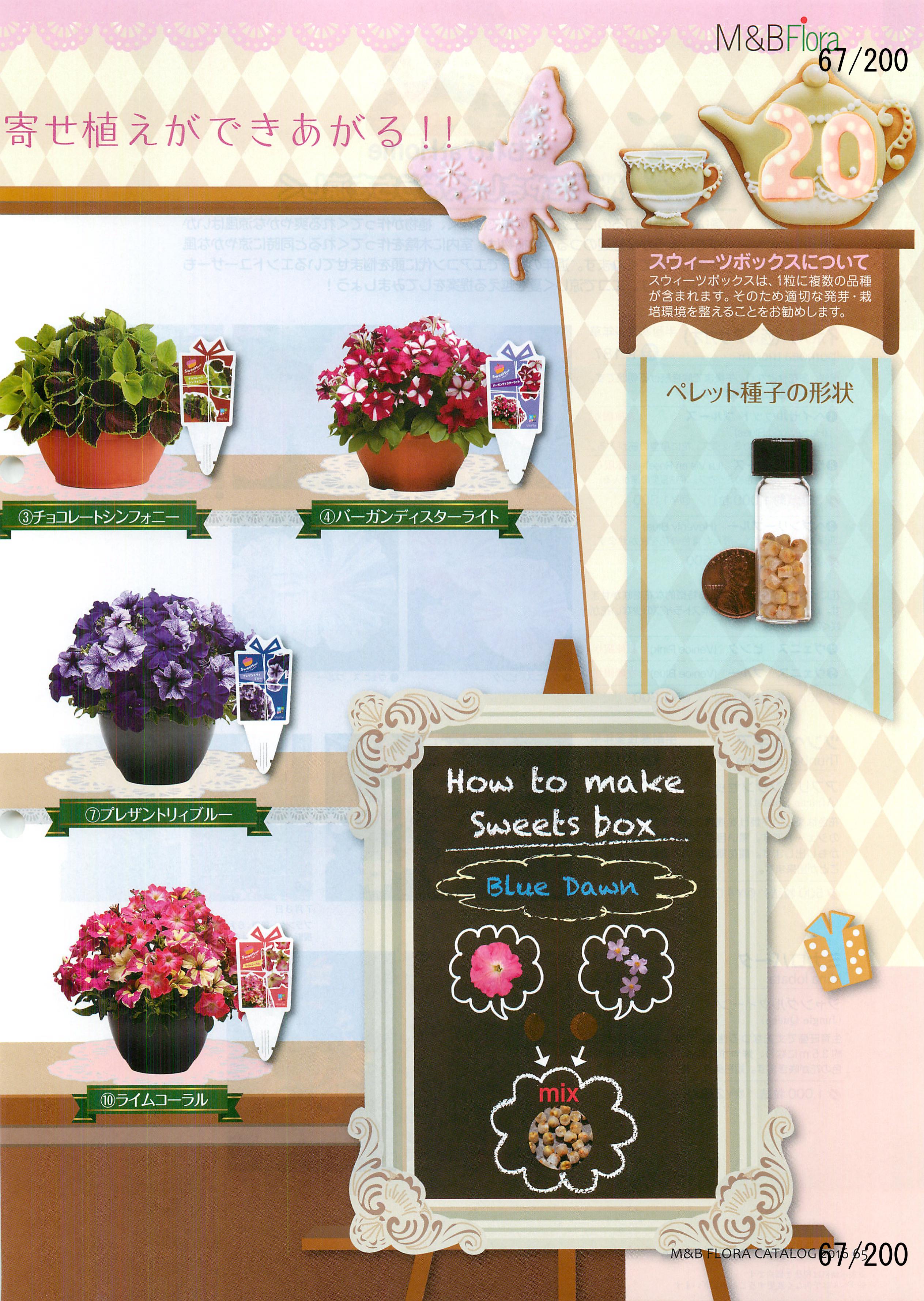 M&B Flora Vol.20F67y[W