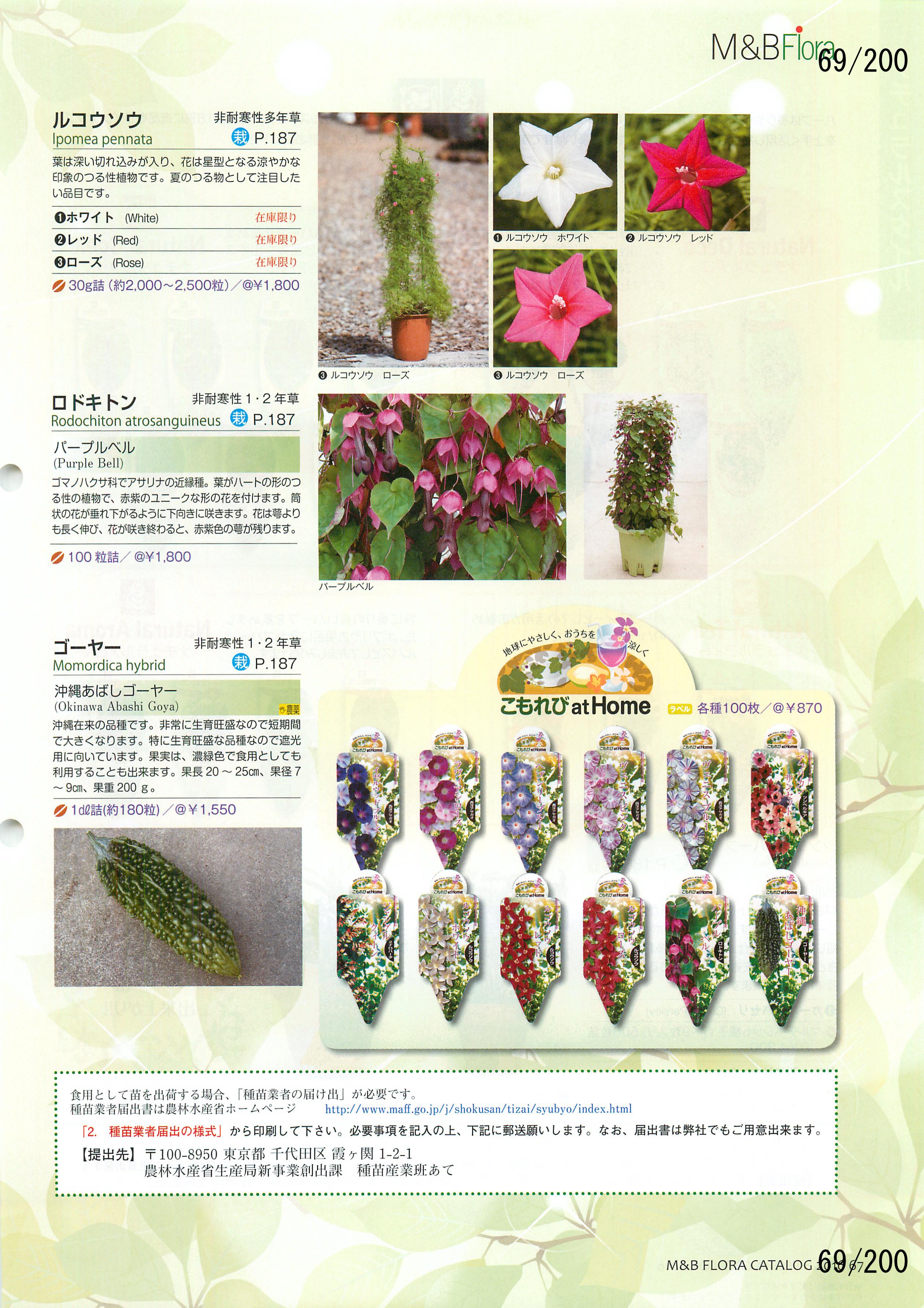 M&B Flora Vol.20F69y[W