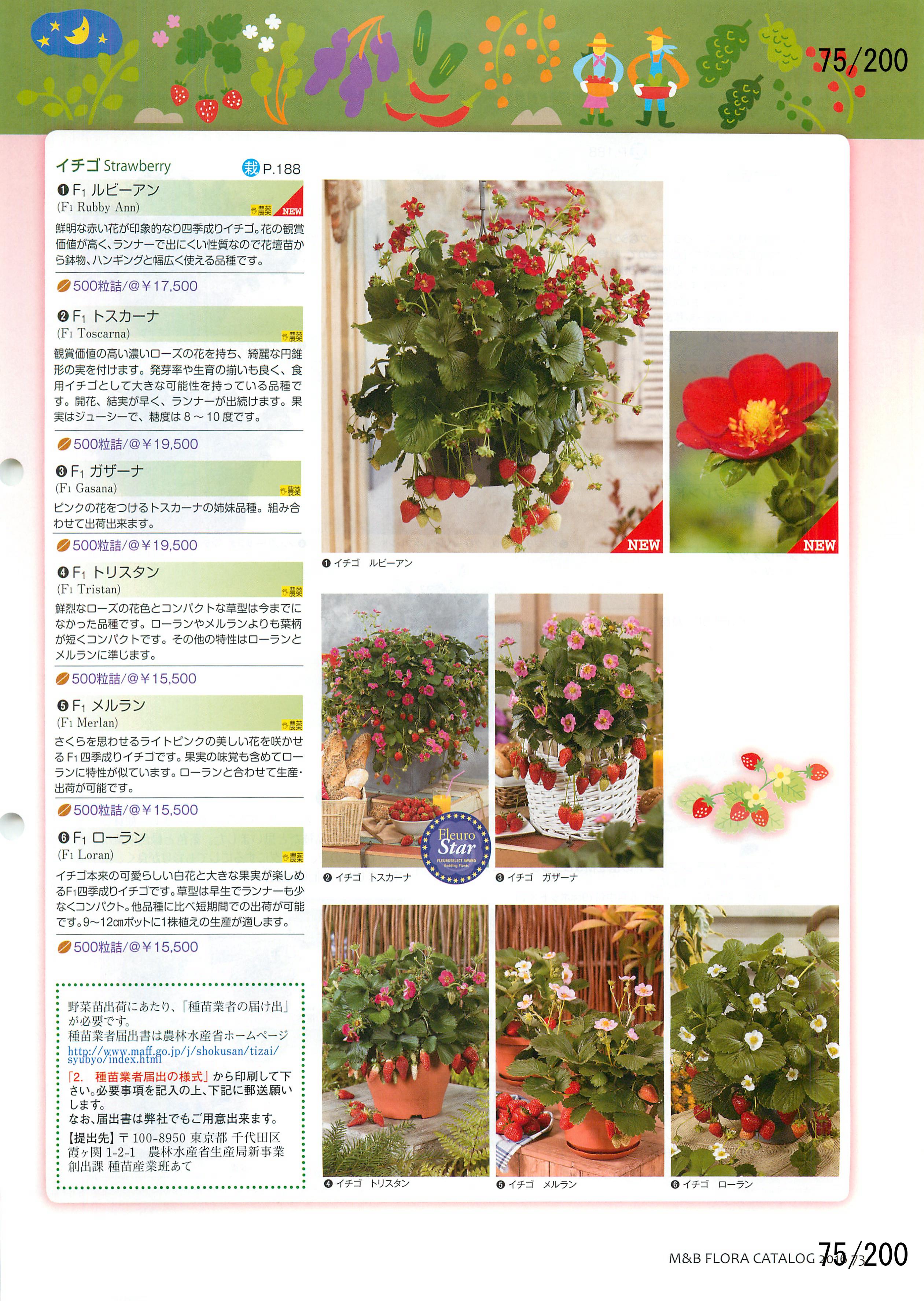 M&B Flora Vol.20F75y[W