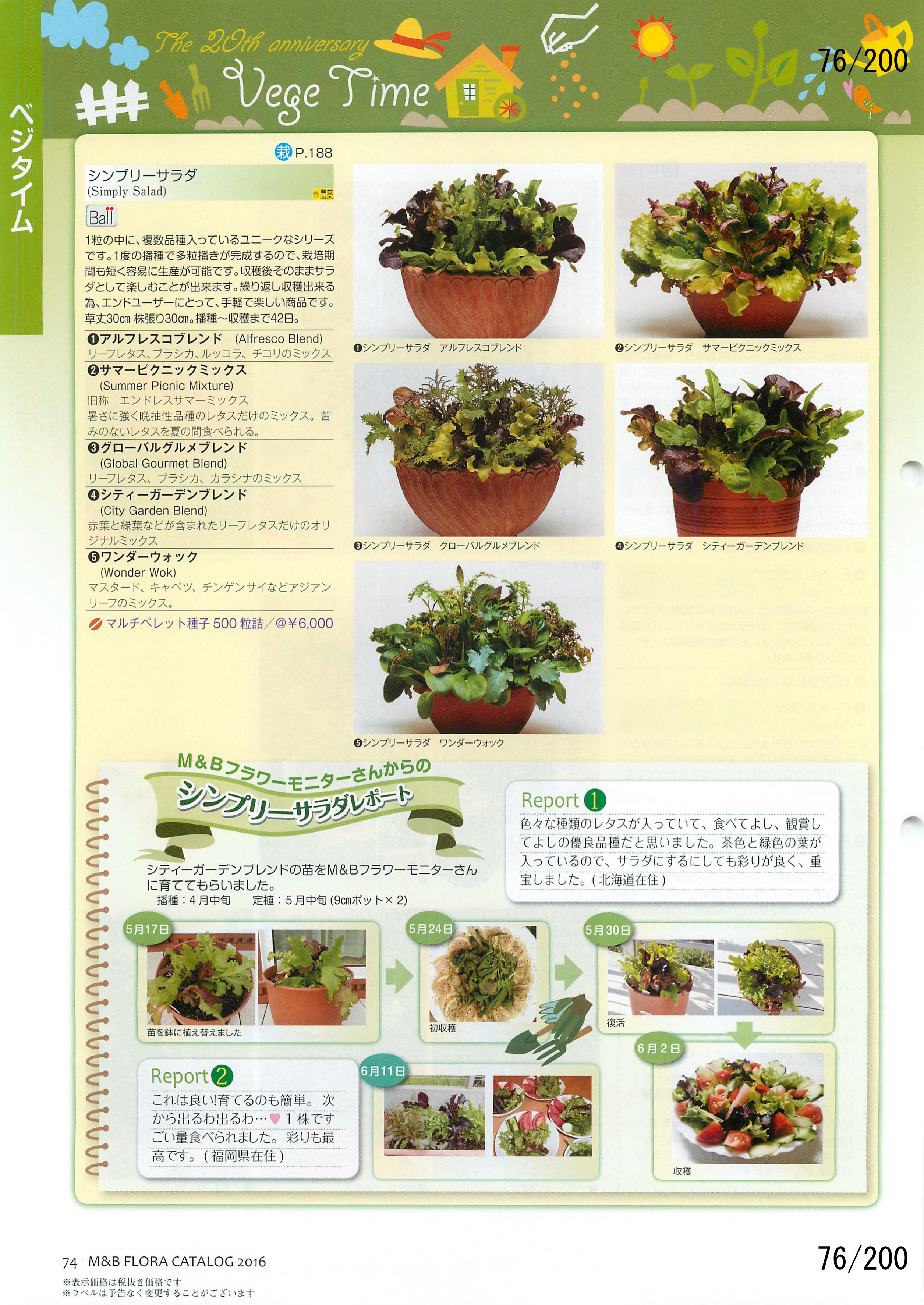 M&B Flora Vol.20F76y[W